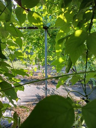 들국화님의 자유주제 · 사진전 작성글 사진