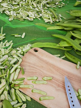 들국화님의 자유주제 · 사진전 작성글 사진