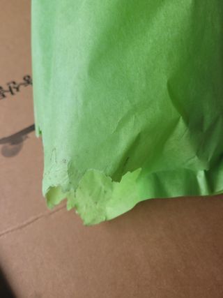 여우내 이순홍님의 포도 · 병해충상담 작성글 사진