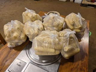 홍성덕님의 옥수수 · 영농일지 작성글 사진