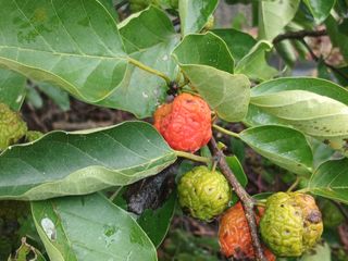 금동이네님의 자유주제 · 자유게시판 작성글 사진