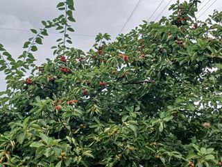 금동이네님의 자유주제 · 자유게시판 작성글 사진