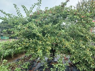 금동이네님의 자유주제 · 자유게시판 작성글 사진