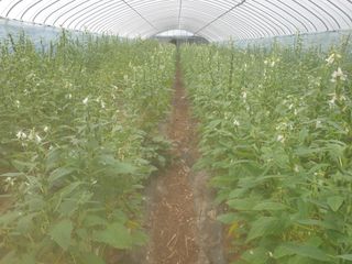 허굴산농장님의 자유주제 · 자유게시판 작성글 사진