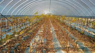 이동훈님의 자유주제 · 자유게시판 작성글 사진