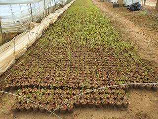 이동훈님의 자유주제 · 자유게시판 작성글 사진