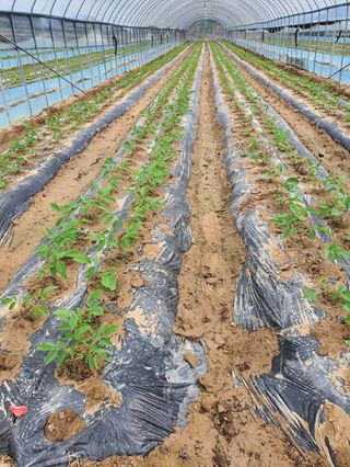 이동훈님의 자유주제 · 자유게시판 작성글 사진