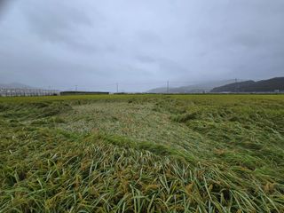 유종환님의 자유주제 · 자유게시판 작성글 사진