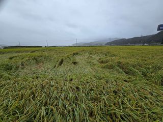 유종환님의 자유주제 · 자유게시판 작성글 사진