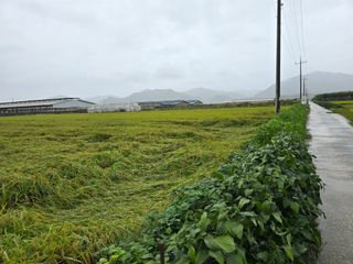 유종환님의 자유주제 · 자유게시판 작성글 사진