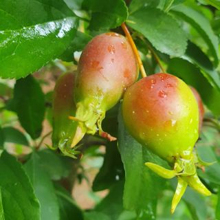 인생은 소풍처럼님의 자유주제 · 자유게시판 작성글 사진