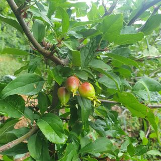 인생은 소풍처럼님의 자유주제 · 자유게시판 작성글 사진