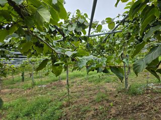 허 동길(길이농장)님의 작성글 사진