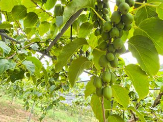 허 동길(길이농장)님의 작성글 사진