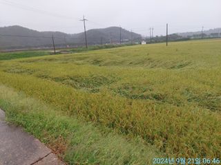 황대헌님의 자유주제 · 자유게시판 작성글 사진