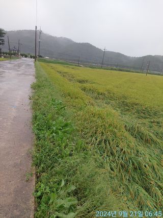 황대헌님의 자유주제 · 자유게시판 작성글 사진