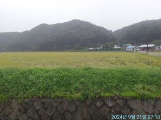 황대헌님의 자유주제 · 자유게시판 작성글 사진