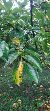 팜모닝 자유주제·자유게시판 게시글 이미지