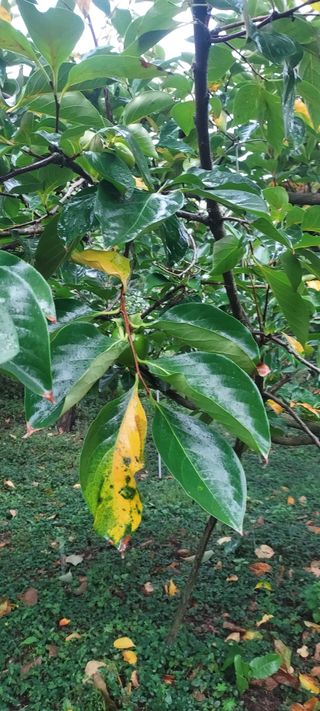 윤호미 님의 자유주제 · 자유게시판 작성글 사진