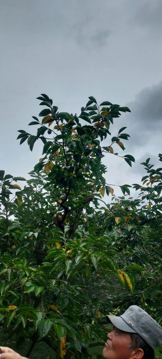 윤호미 님의 자유주제 · 자유게시판 작성글 사진