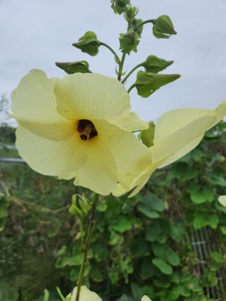 선우농장님의 자유주제 · 자유게시판 작성글 사진