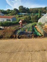 팜모닝 · 게시글 이미지