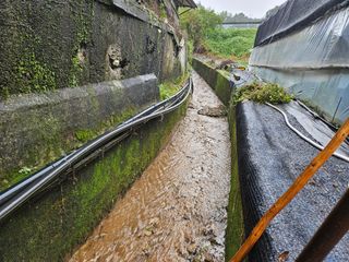 뿡뿡농장님의 배추 · 영농일지 작성글 사진