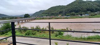 고풍마님님의 자유주제 · 자유게시판 작성글 사진