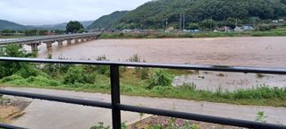 고풍마님님의 자유주제 · 자유게시판 작성글 사진