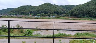고풍마님님의 자유주제 · 자유게시판 작성글 사진