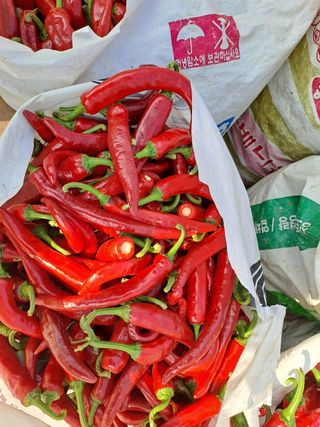 알 수 없음님의 작성글 사진