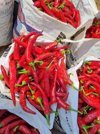 알 수 없음님의 작성글 사진