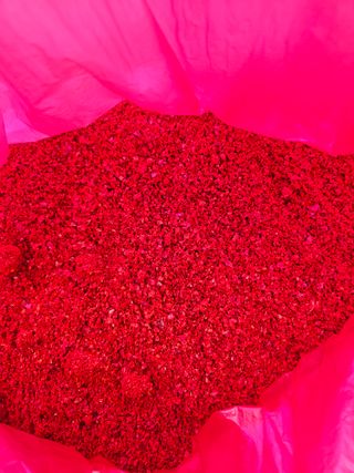 알 수 없음님의 작성글 사진