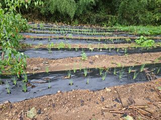 치기산골아줌마님의 자유주제 · 사진전 작성글 사진