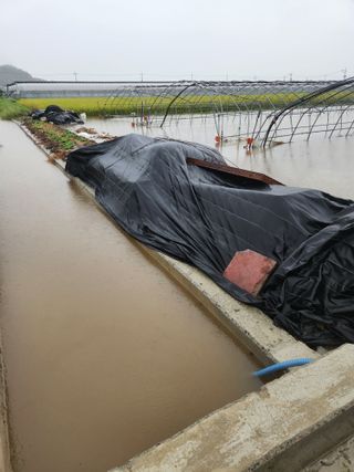 미소김님의 자유주제 · 자유게시판 작성글 사진