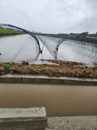 미소김님의 자유주제 · 자유게시판 작성글 사진