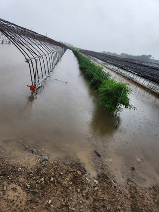 미소김님의 자유주제 · 자유게시판 작성글 사진