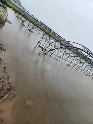 미소김님의 자유주제 · 자유게시판 작성글 사진