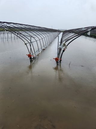 미소김님의 자유주제 · 자유게시판 작성글 사진