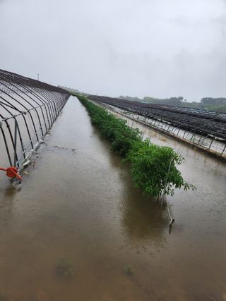 미소김님의 자유주제 · 자유게시판 작성글 사진
