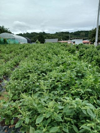 상원(尙沅)님의 자유주제 · 자유게시판 작성글 사진