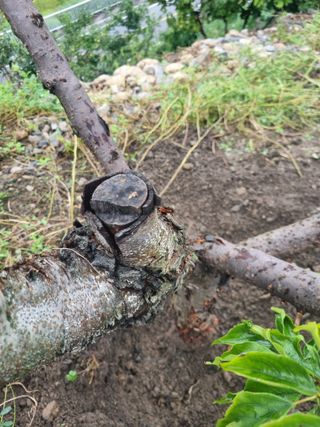 김용대님의 자유주제 · 자유게시판 작성글 사진
