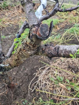 김용대님의 자유주제 · 자유게시판 작성글 사진
