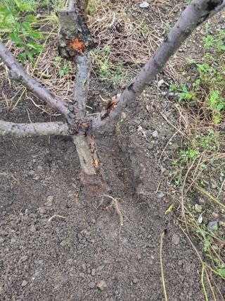 김용대님의 자유주제 · 자유게시판 작성글 사진