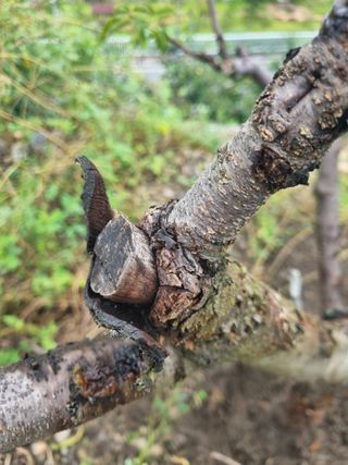 김용대님의 자유주제 · 자유게시판 작성글 사진