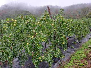 신점식님의 자유주제 · 자유게시판 작성글 사진