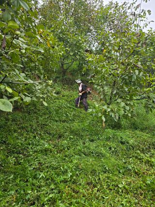 석송호두농원님의 기타작물 · 영농일지 작성글 사진