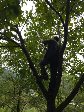 석송호두농원님의 기타작물 · 영농일지 작성글 사진