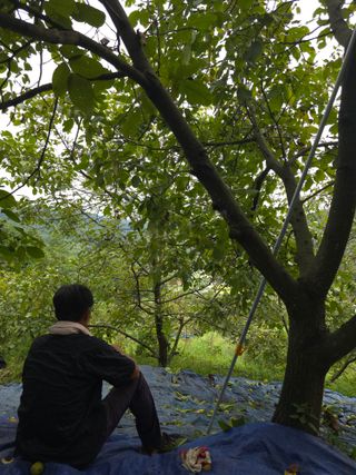 석송호두농원님의 기타작물 · 영농일지 작성글 사진