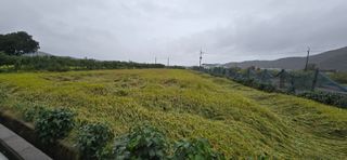 박성준님의 벼 · 영농일지 작성글 사진